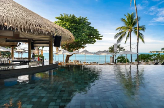 Dominica citizenship by Investment